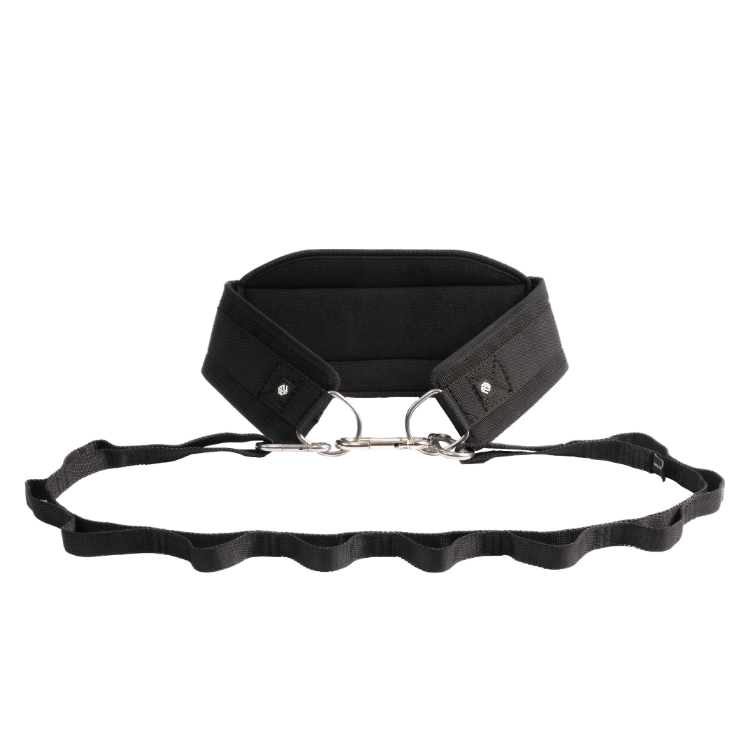 Dip Belt Pro
