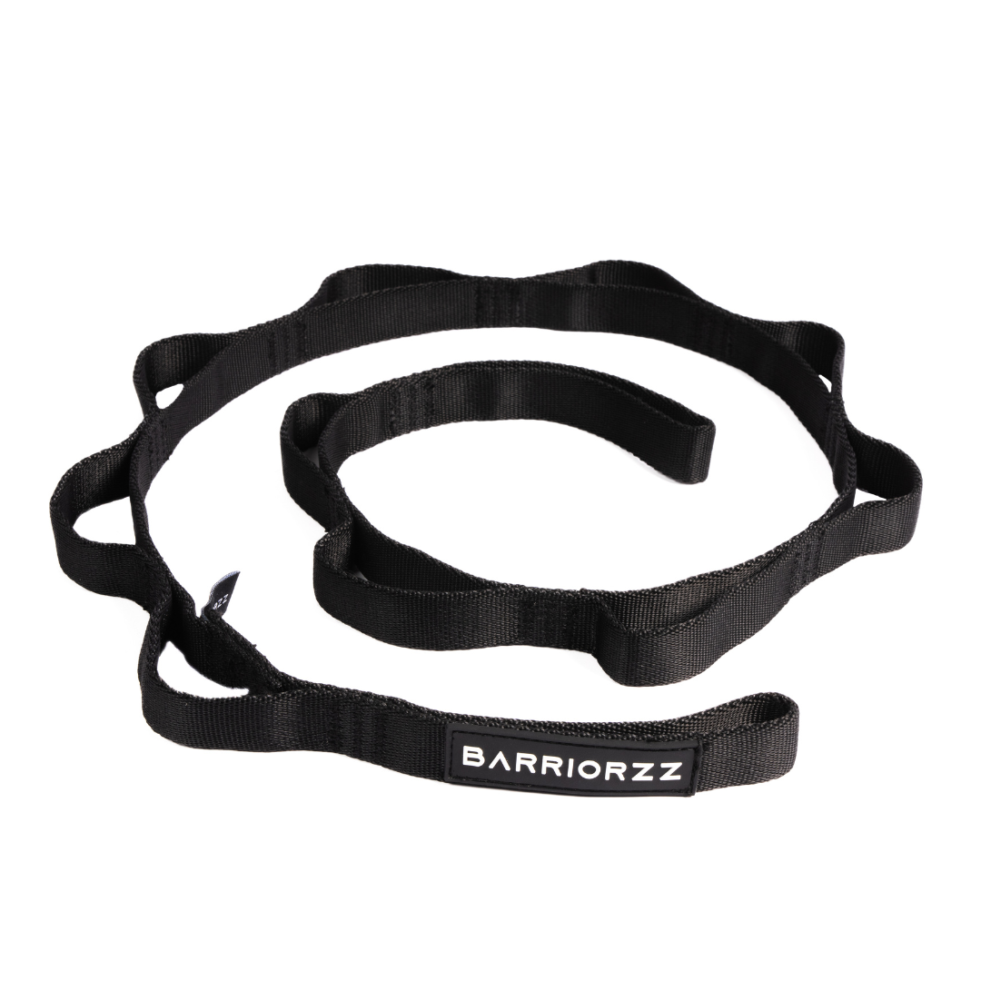 Dip Belt Pro