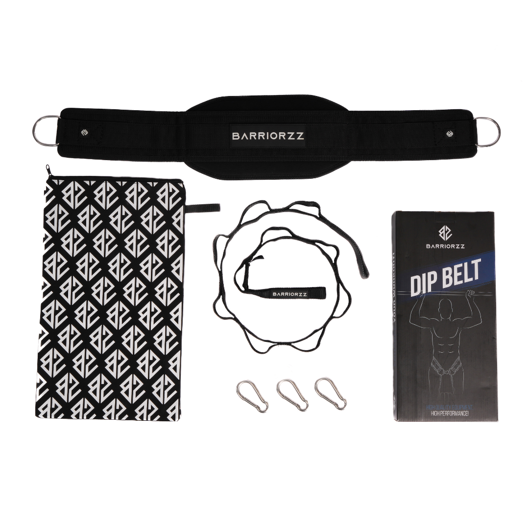 Dip Belt Pro