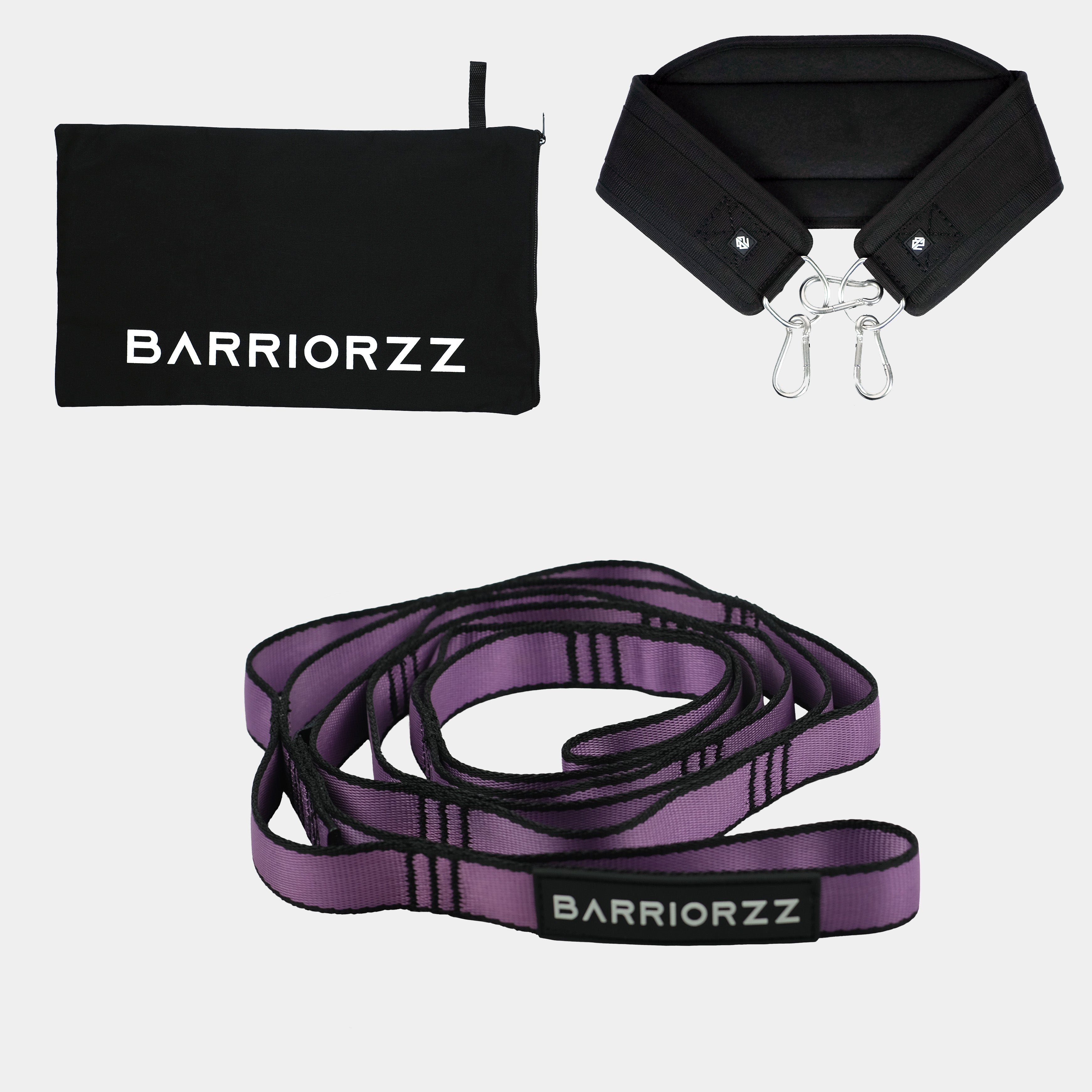 Dip Belt Pro
