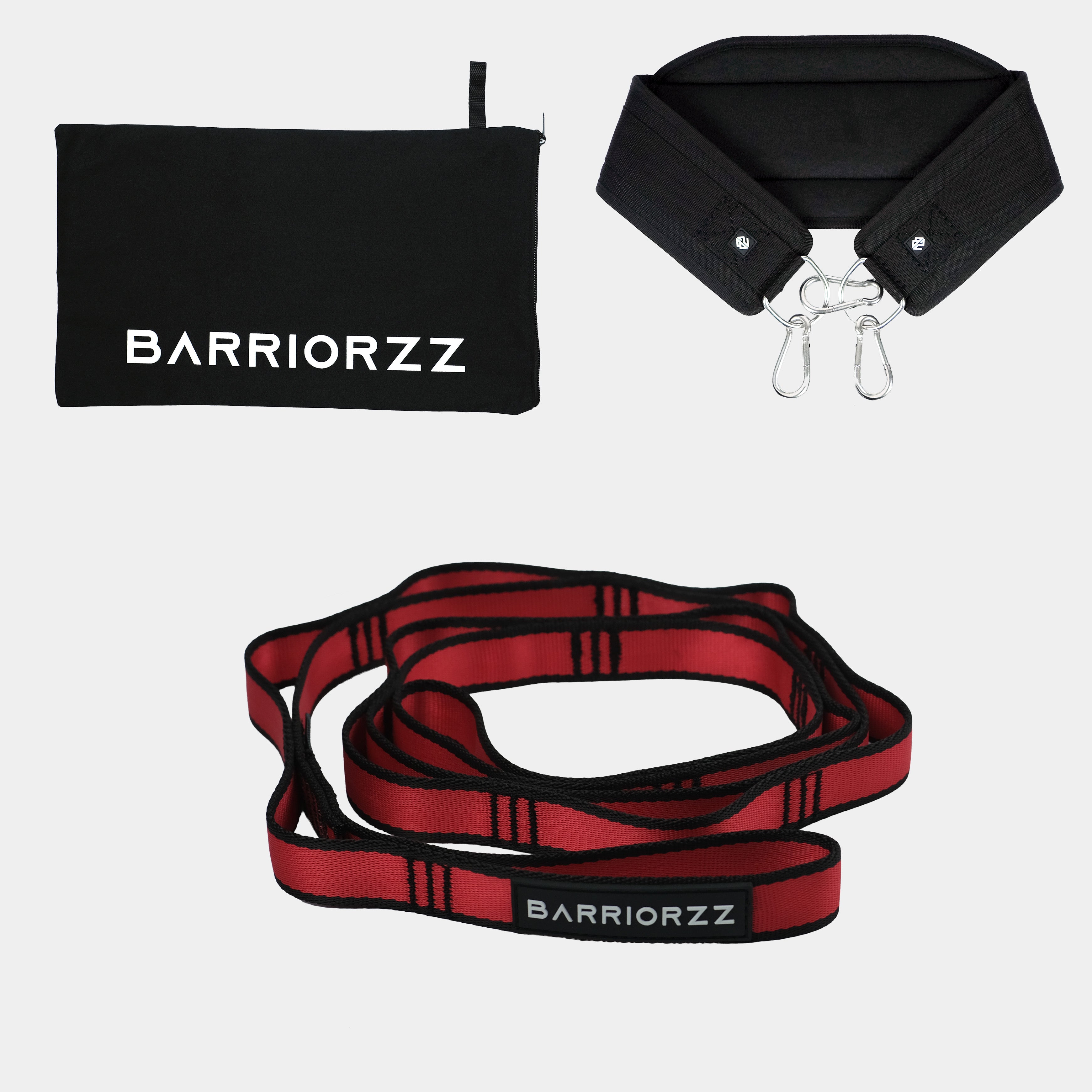 Dip Belt Pro