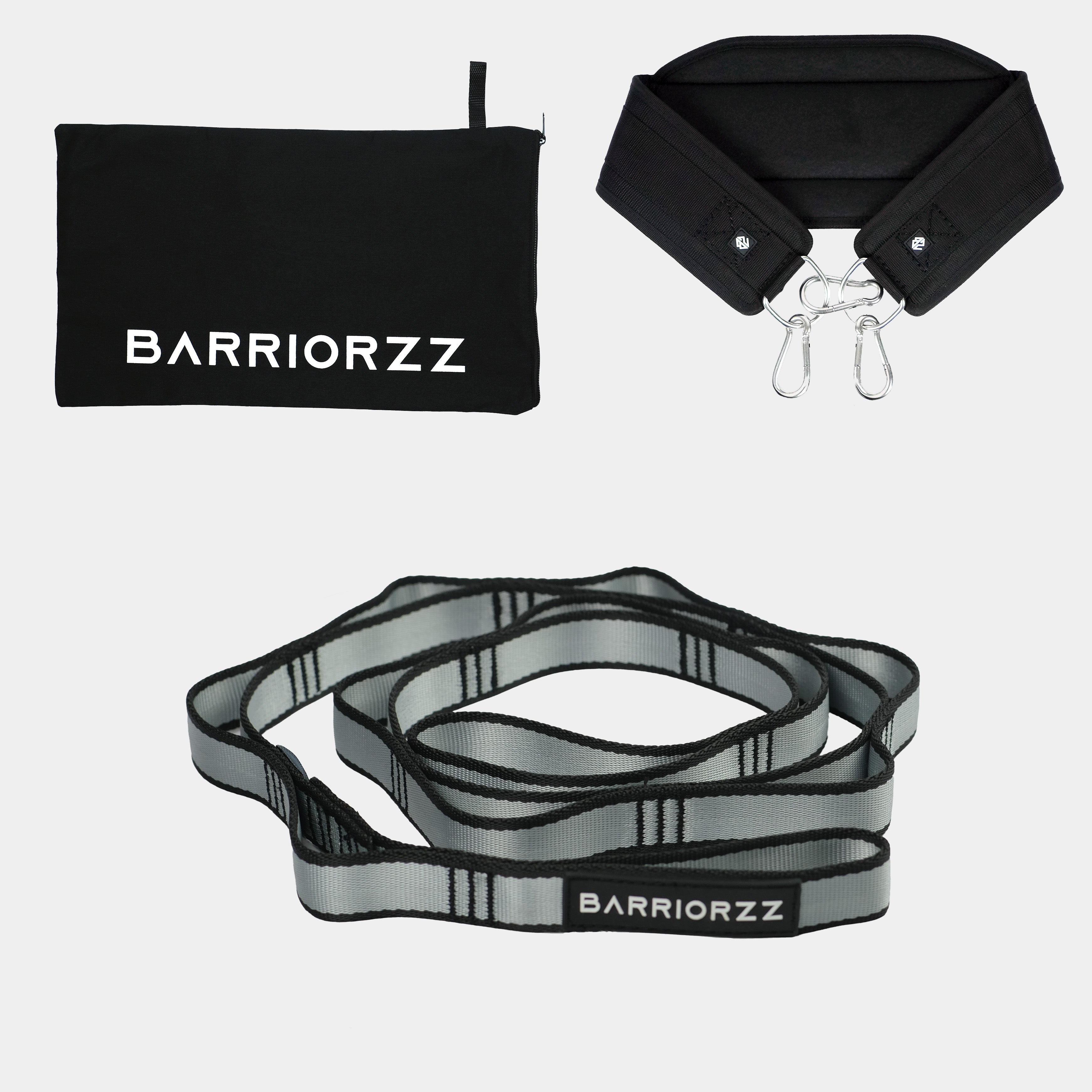 Dip Belt Pro