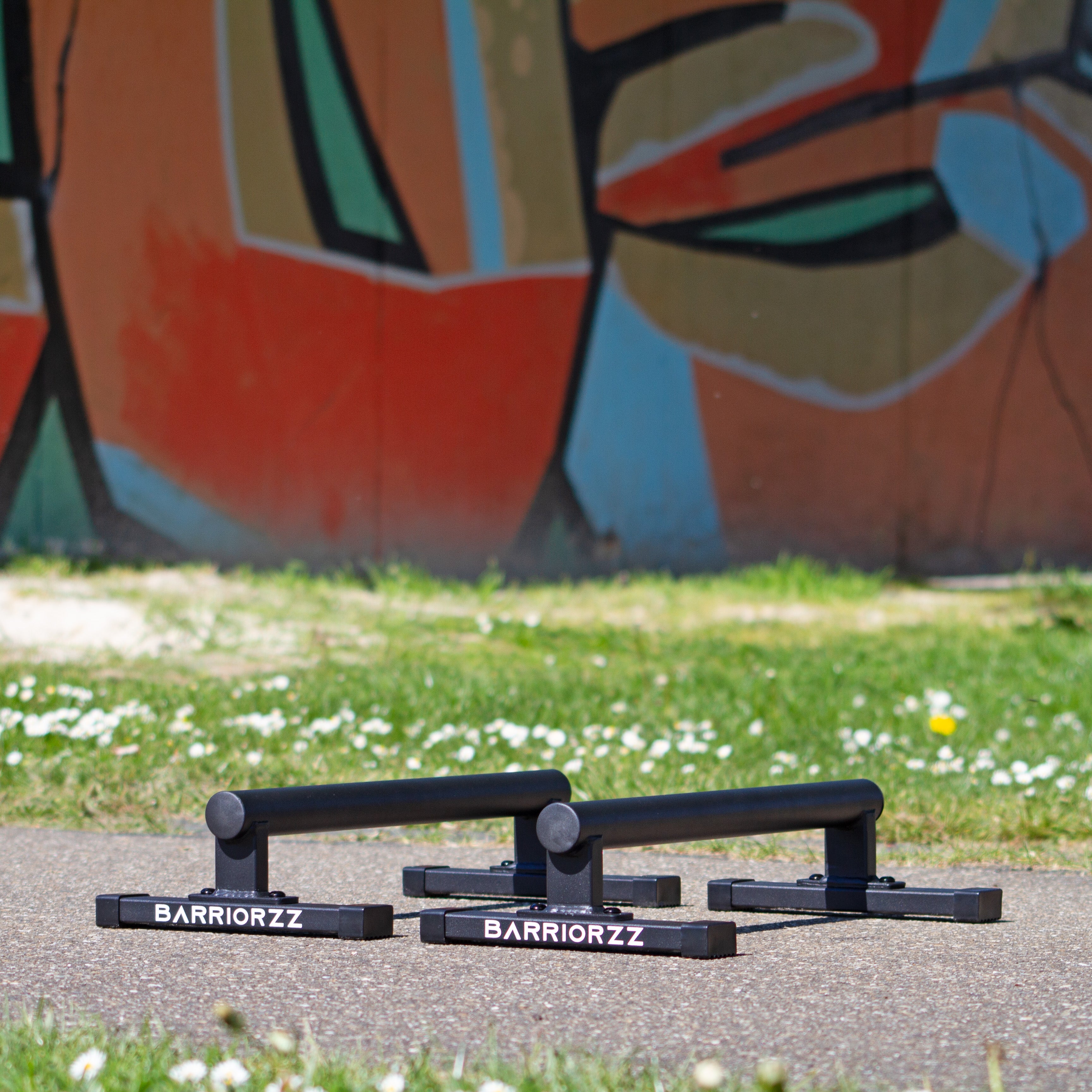 Parallettes Pro BARRIORZZ
