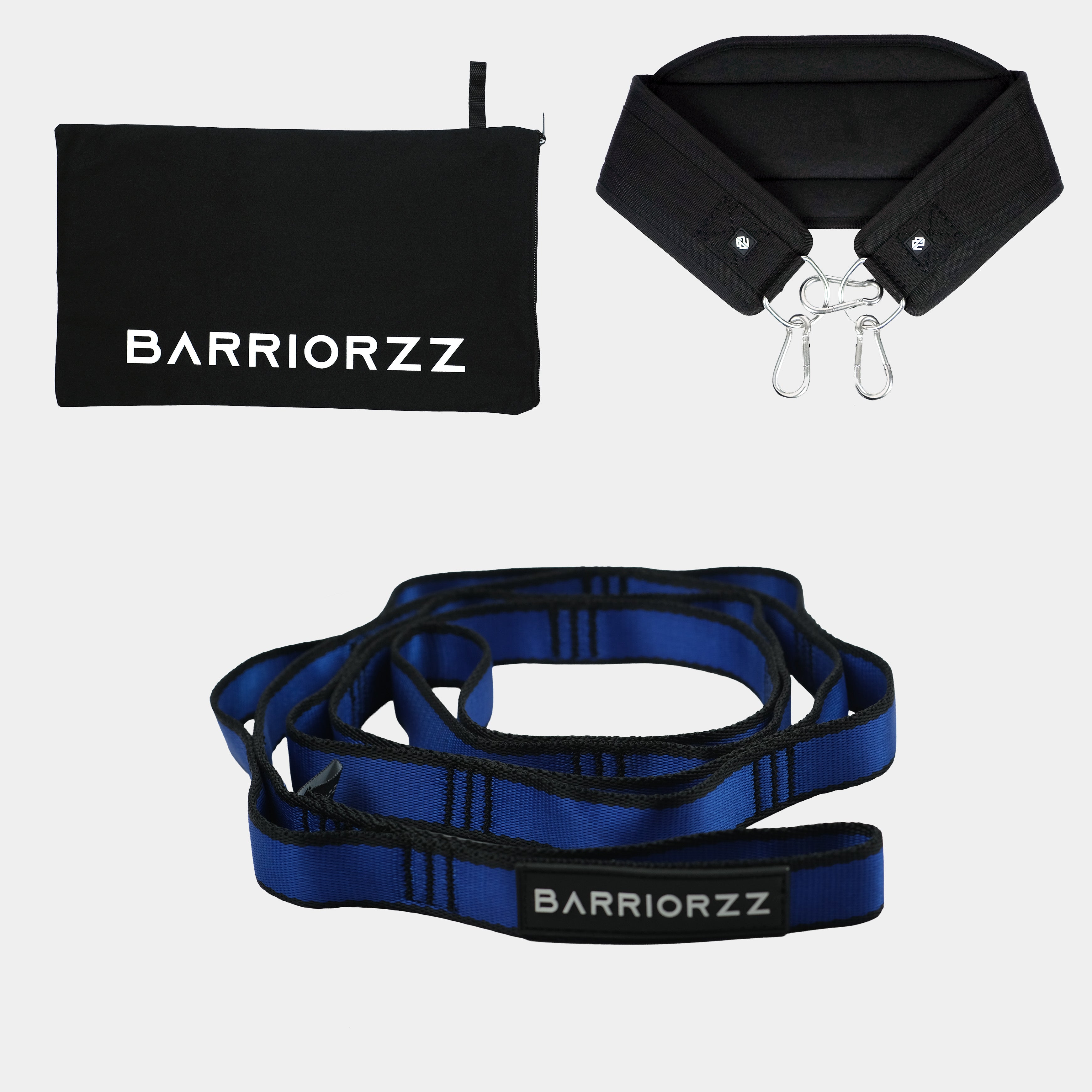 Dip Belt Pro