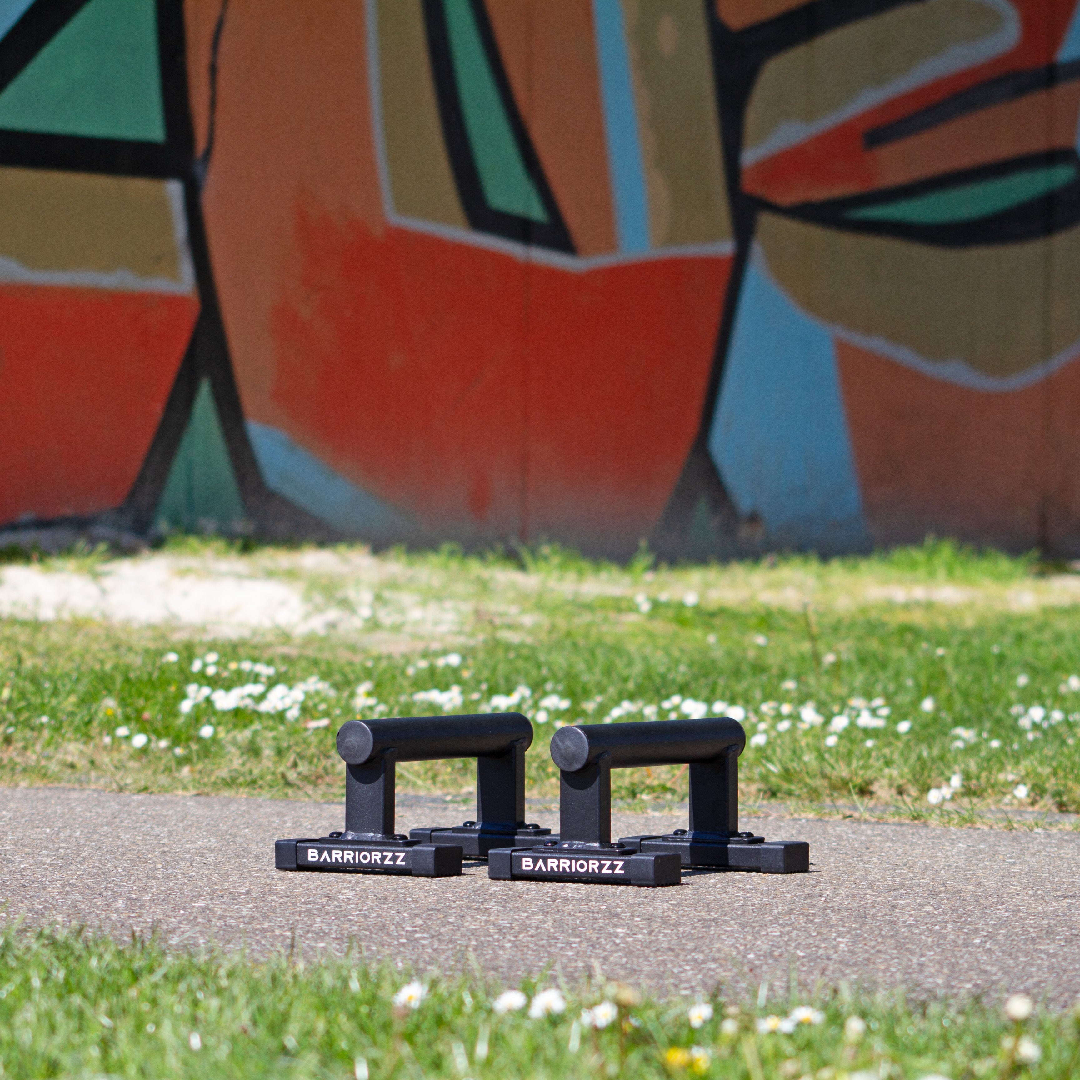 Parallettes Go BARRIORZZ